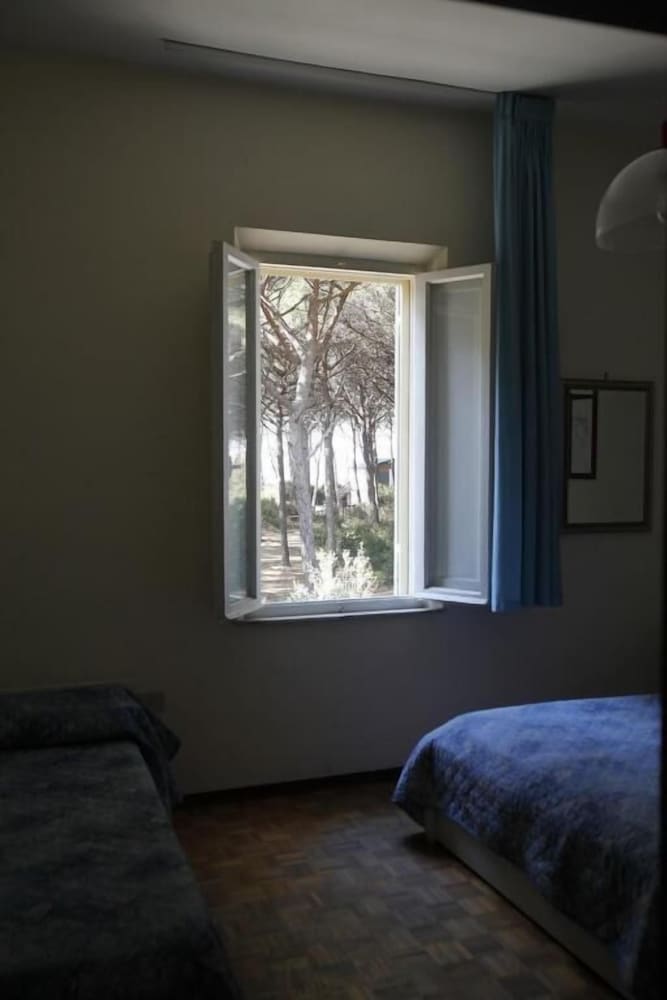 Il giaguaro view 4