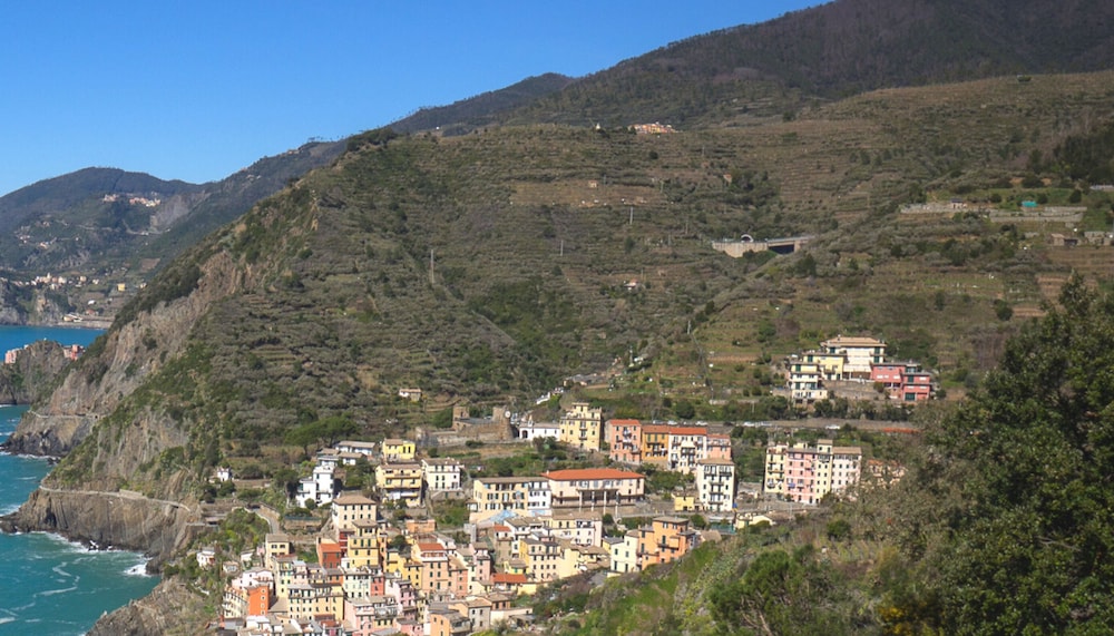 Photo 44