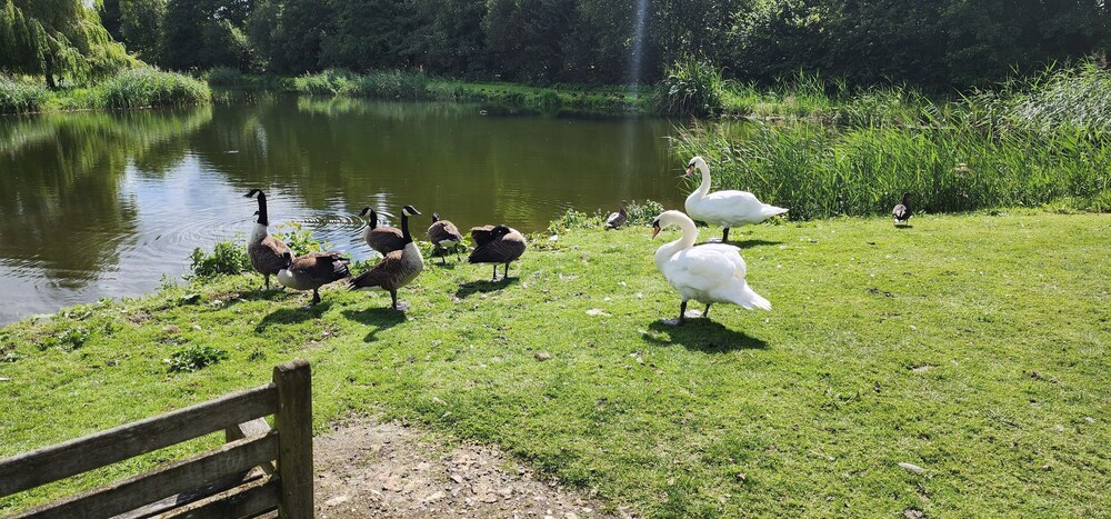 Willowbank Lodges