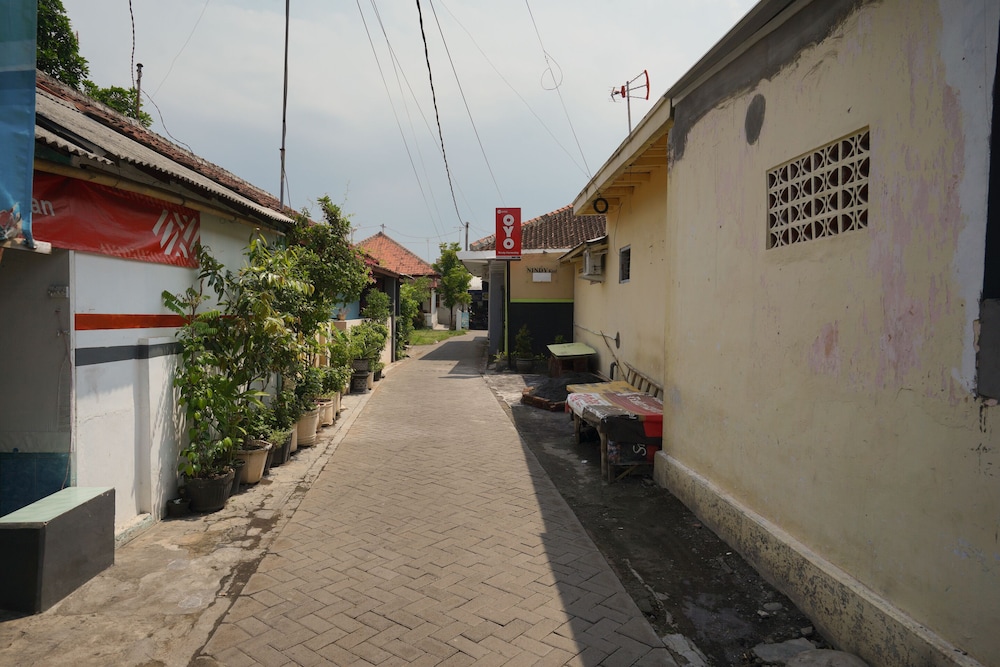 Photo 27