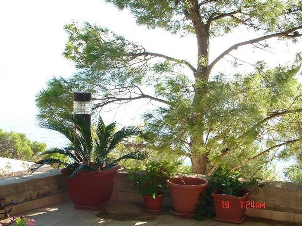 Jag - 20m From the sea - A1-zapadni view 3