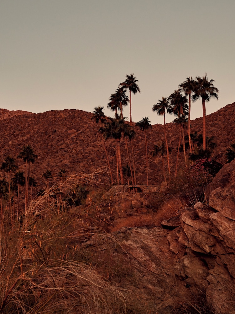 The Willows Palm Springs