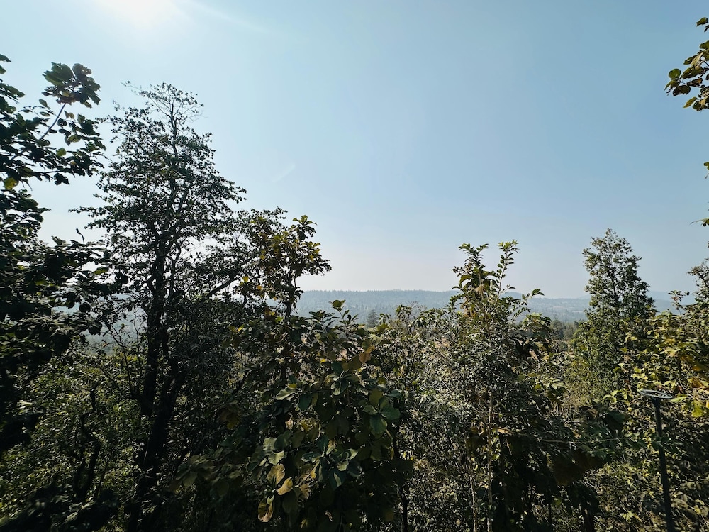 Wild heaven Glamping And Resort Saputara
