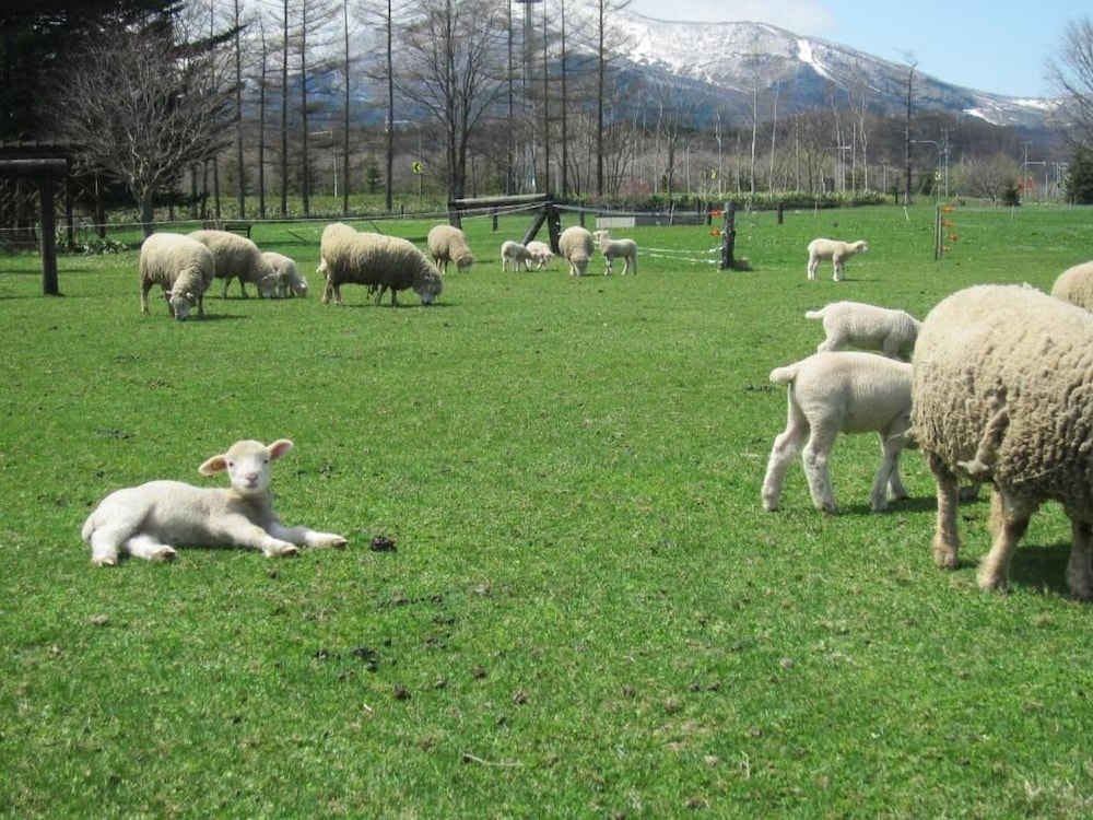 Yorkshire Farm