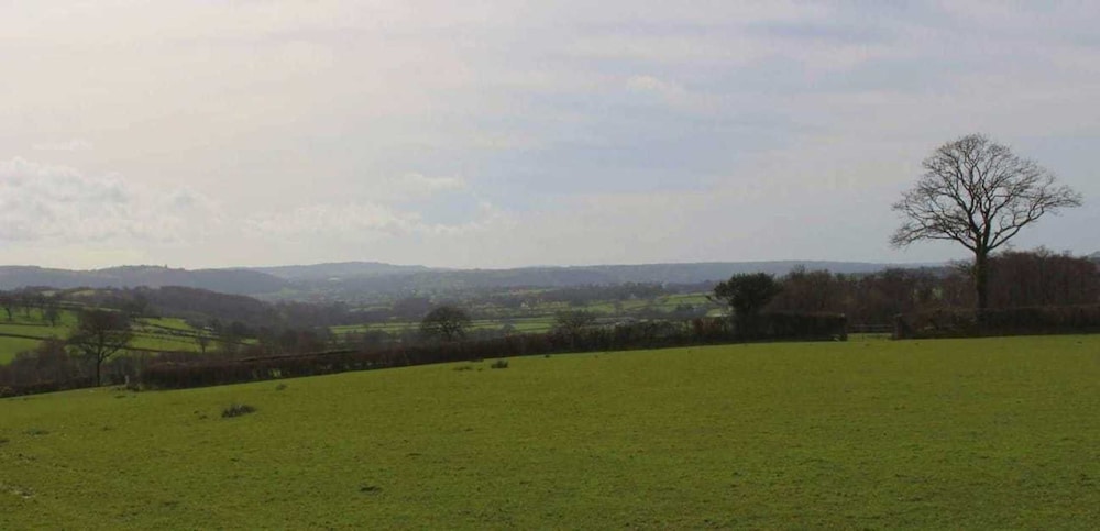 The Shearer's Hut, Sleeps 2, Wood Burner, Fire Pit view 3