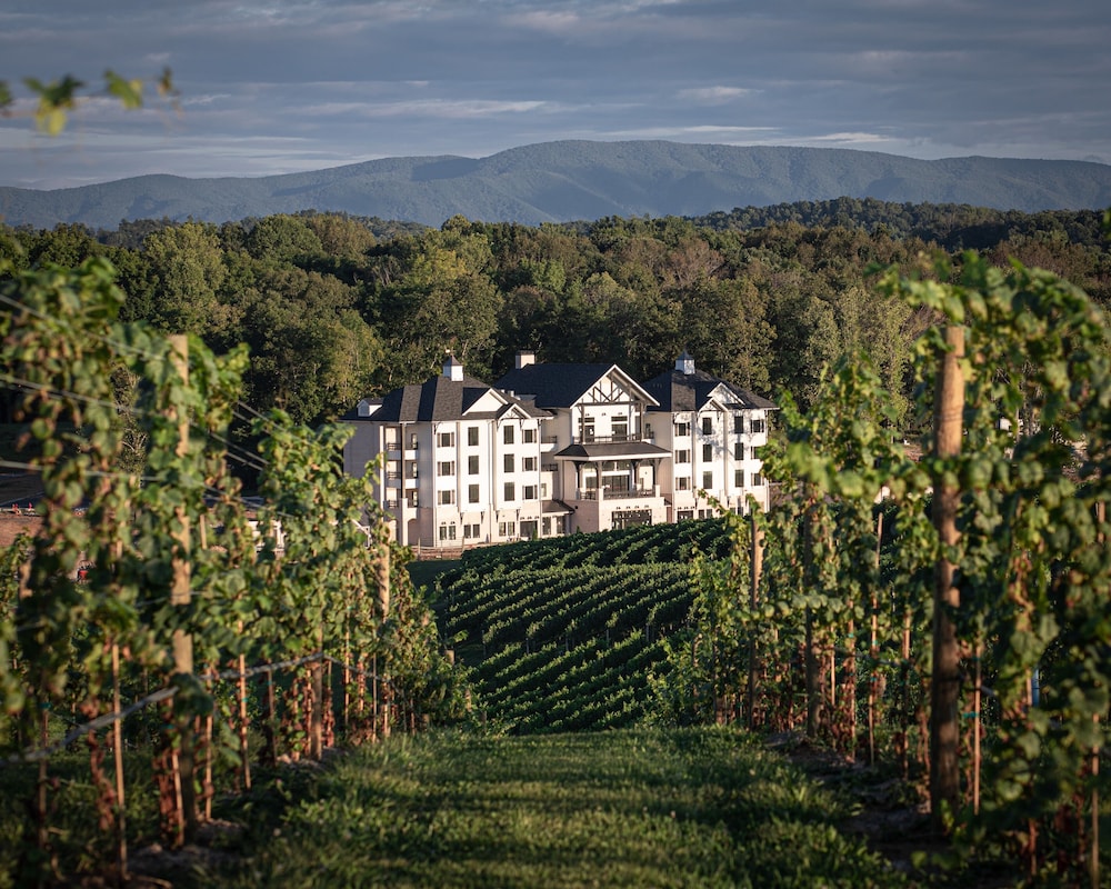 Nicewonder Farm & Vineyard