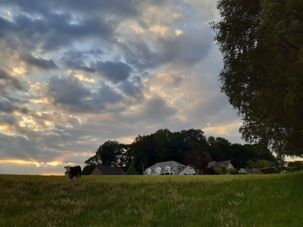 Inveraray Farm - Image 4