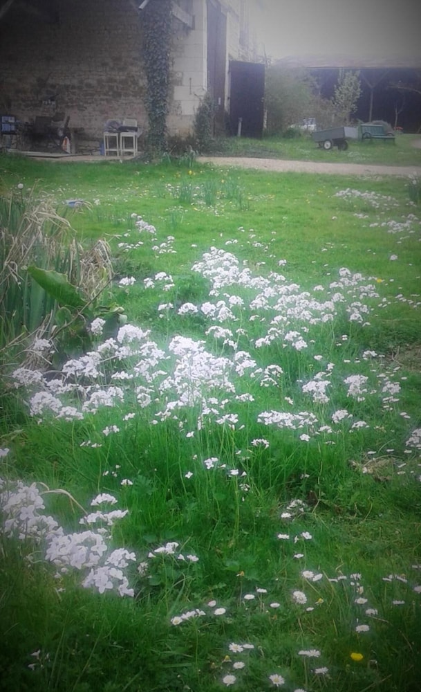 La clé des jardins