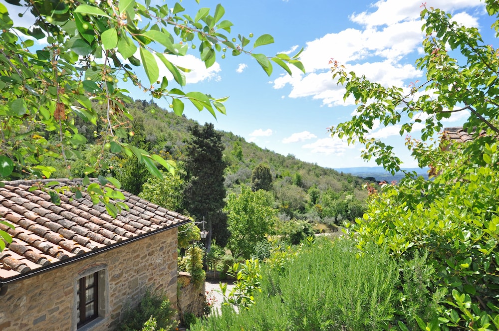 Borgo Del Castagno
