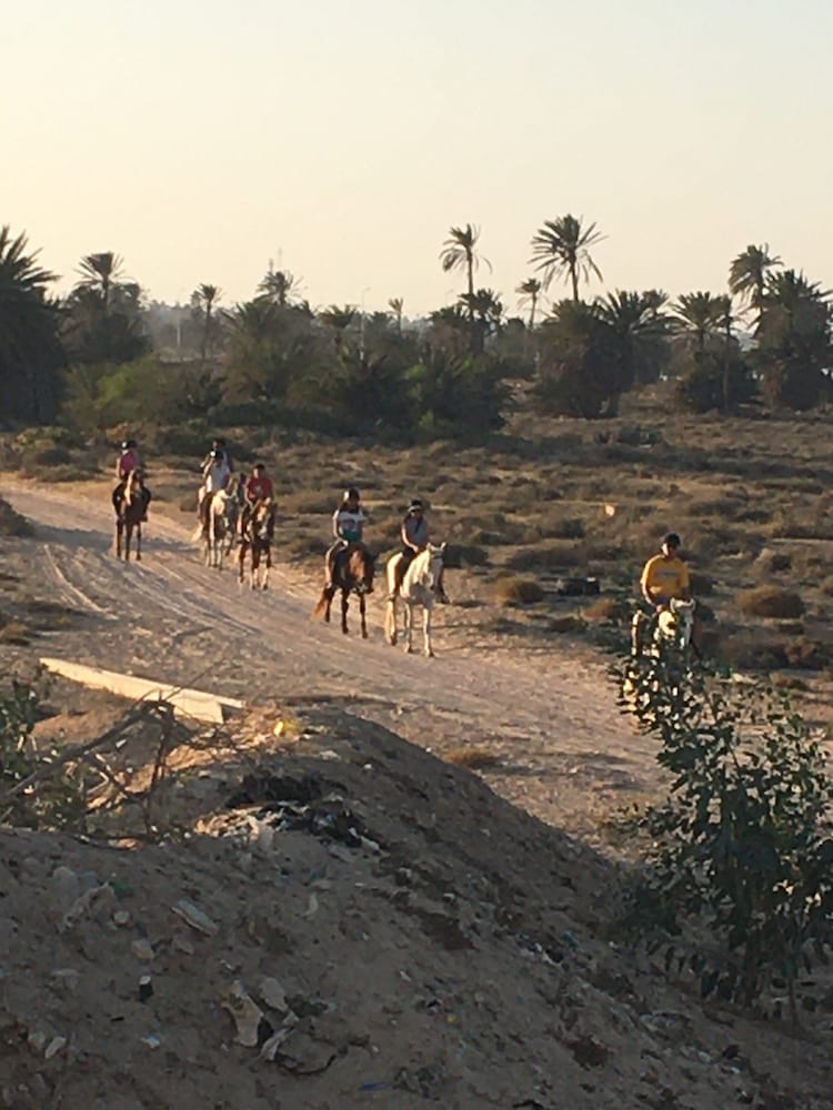 Aghir Vacations - Tamalou Djerba - Property Image 26