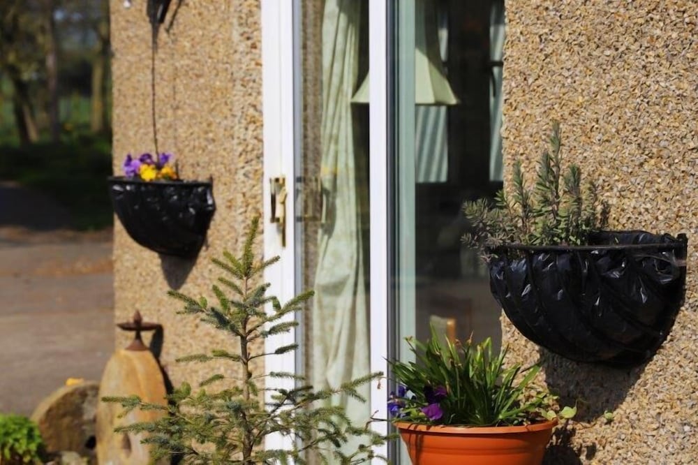 Elmfield House B&B