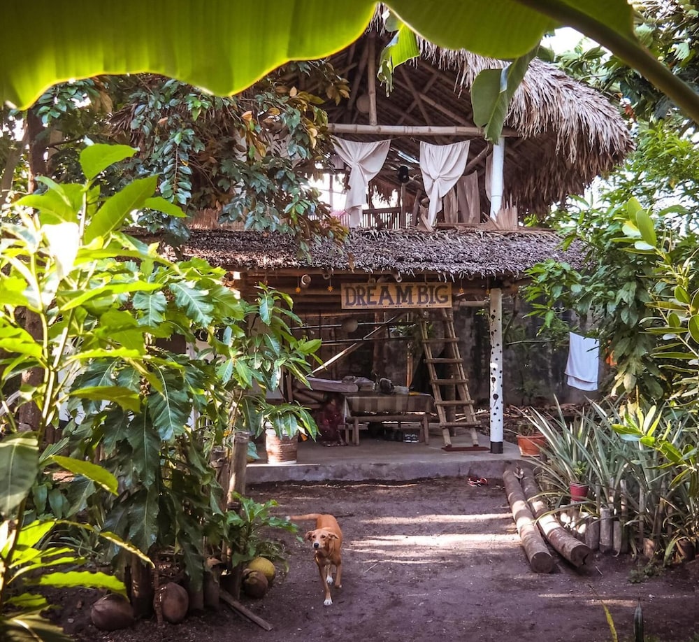 Dream-Big Eco Hostel