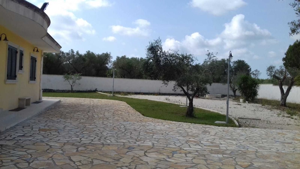 Photo 19