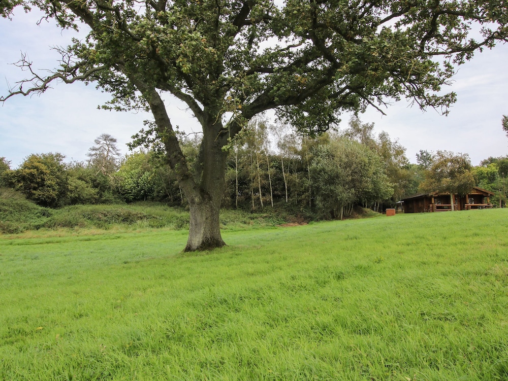 Brynallt Country Park