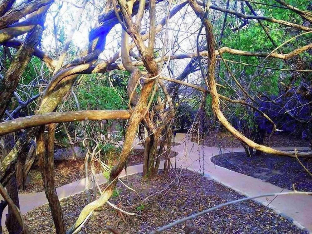 Podi Hoona Yala Safari Camp