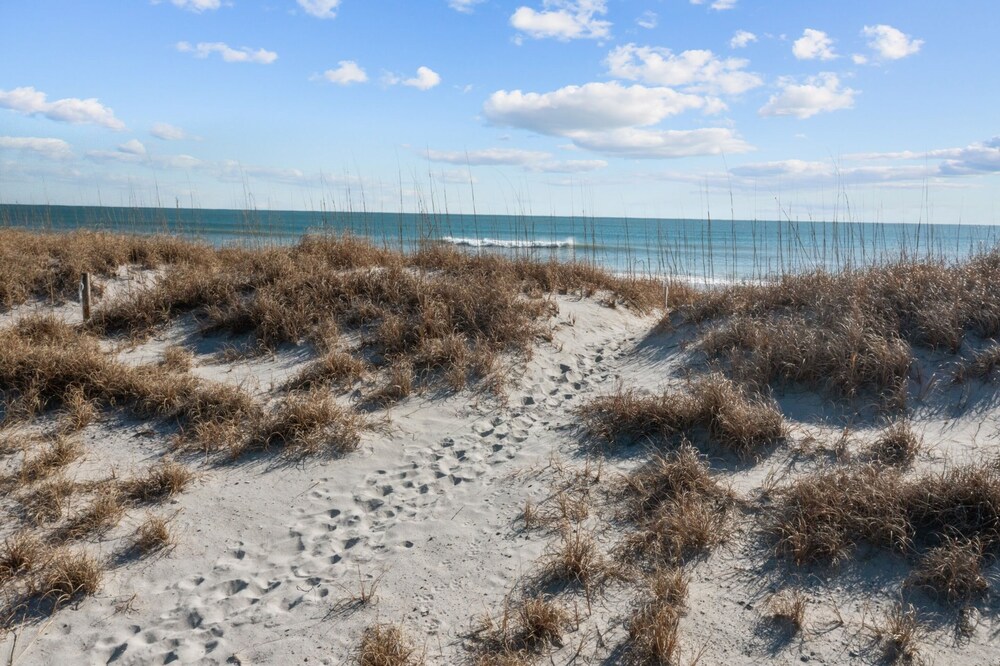 Livin' the Ruff Life by Topsail Realty