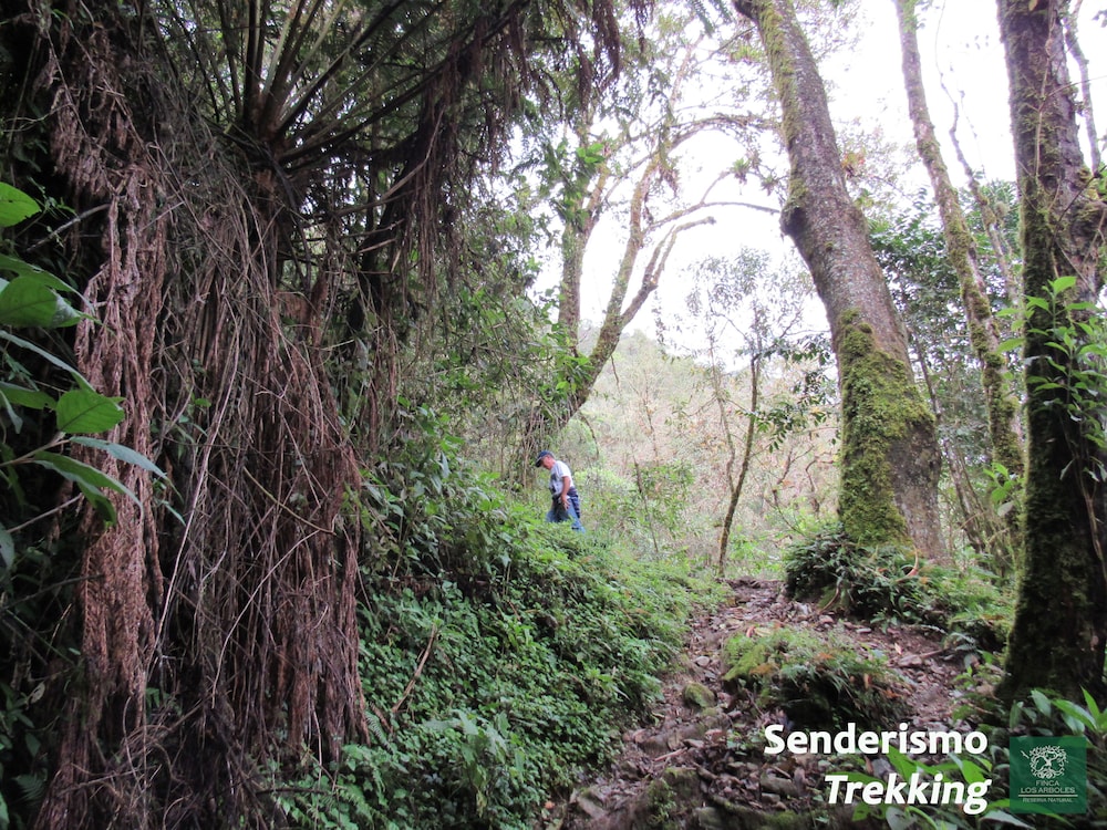 Finca Los Arboles