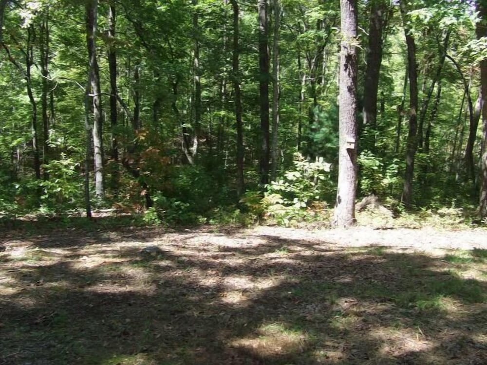 SERENITY WOODS Apartment 3 NEVAEH CABIN RENTALS
