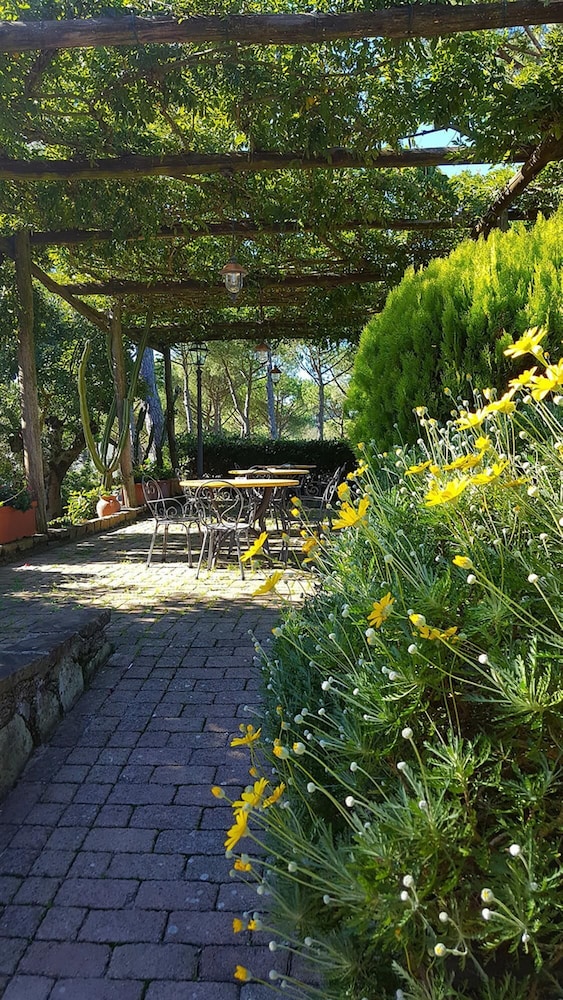Photo 42