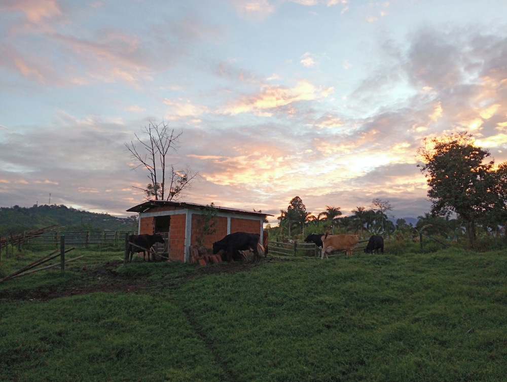 Rancho Ventura