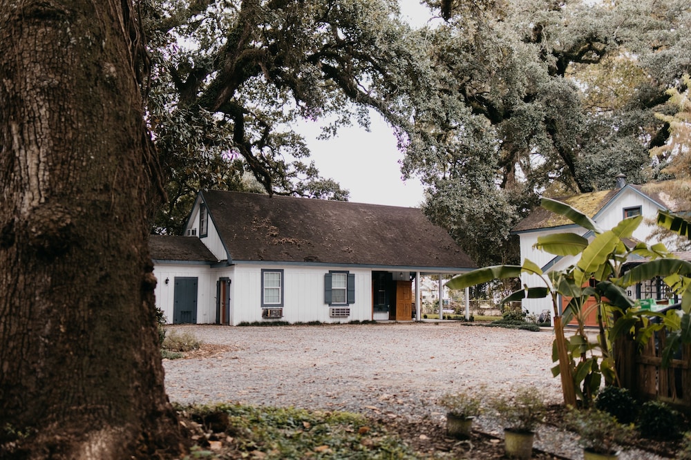 Mouton Plantation