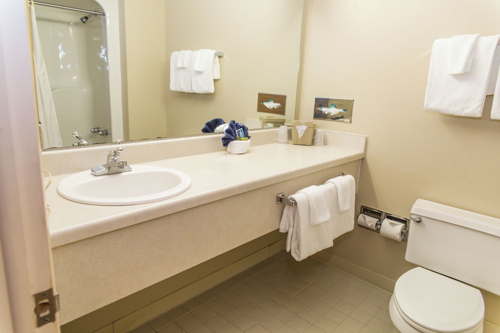 The Inn at Snowshoe