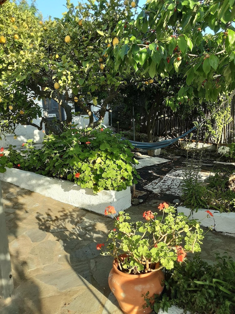 Photo 17