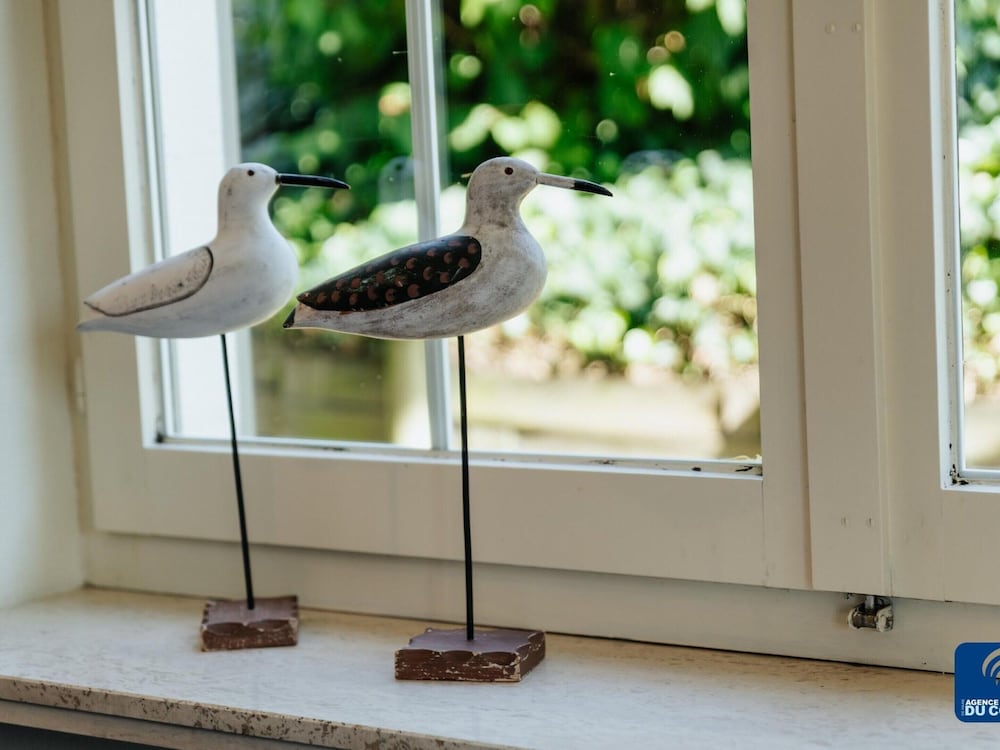 Pet-friendly Villa Retreat