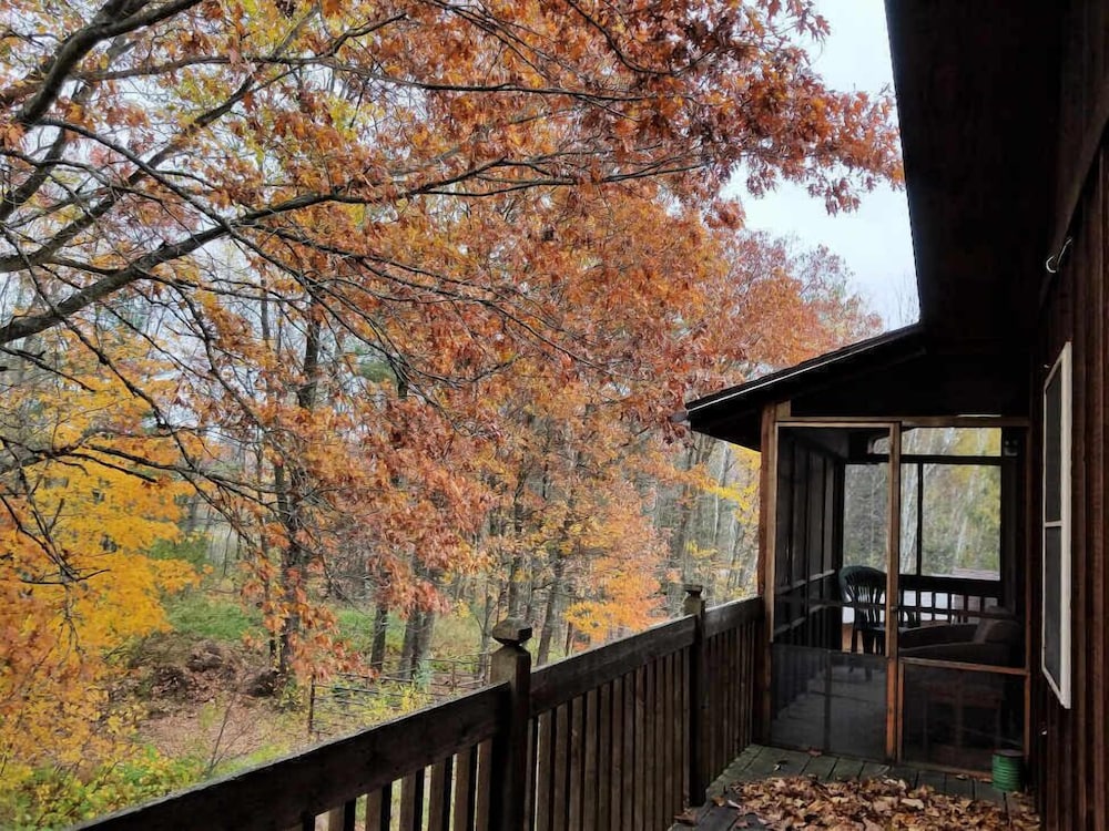 Shire In The Woods