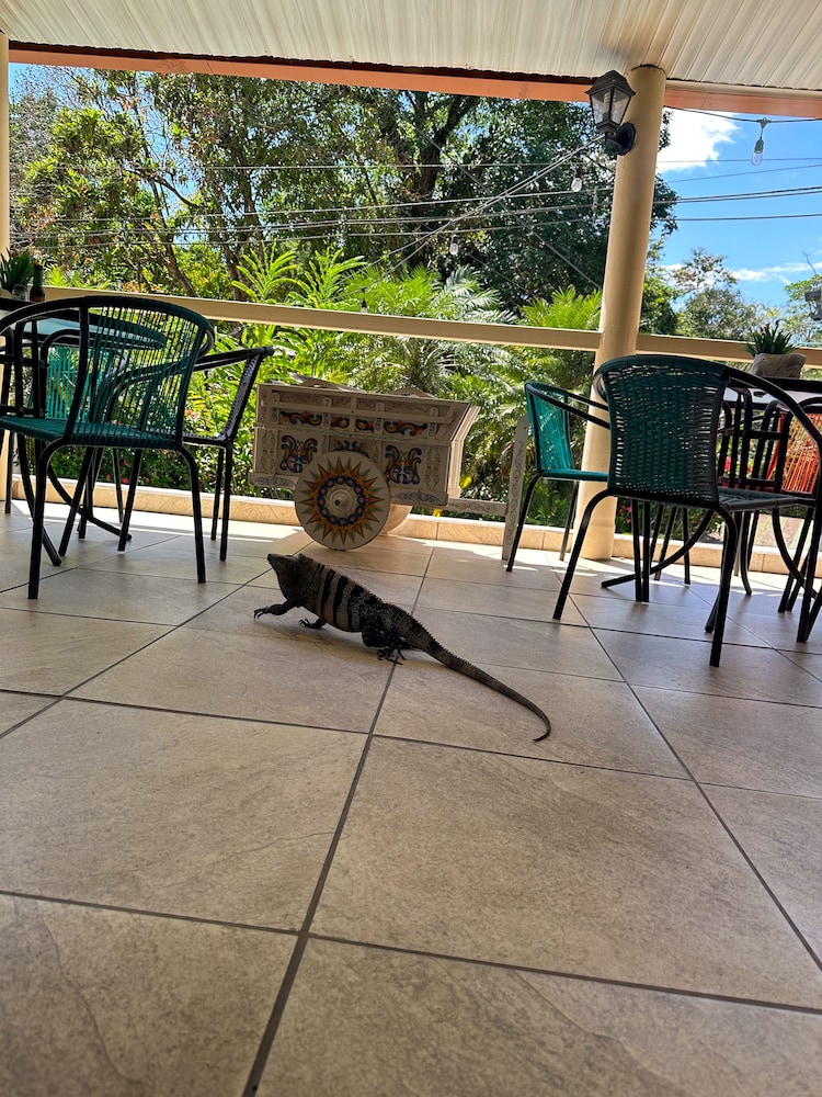 Hotel Colibri