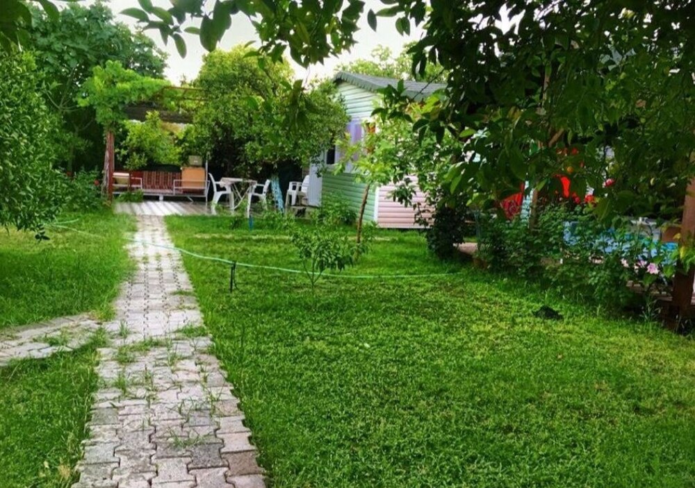 Photo 14