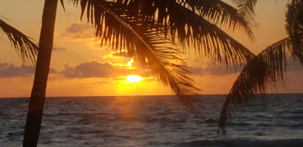 Belize Vacations - Pal's on the Beach - A Gold Standard Hotel - Property Image 8