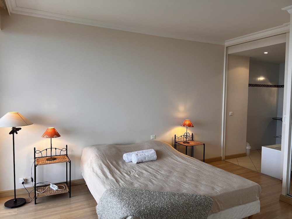 Large Light and Modern 2 Bedroomed Apartment in Cannes With Sea Views Pool and Lovely Terrace - 1503