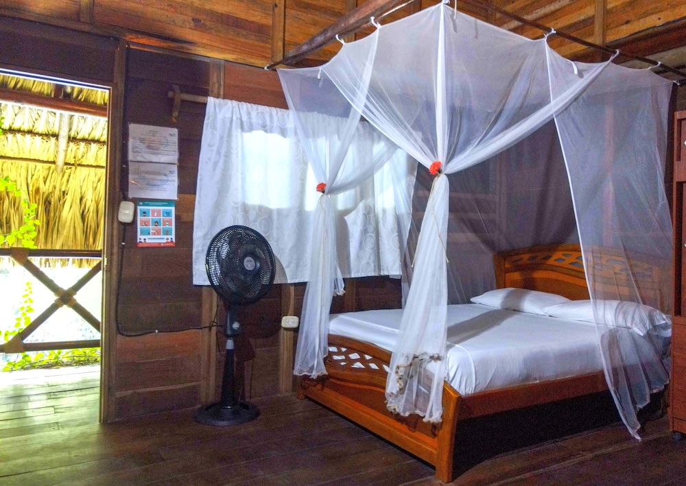 Prima Luna Palomino - Property Image 4