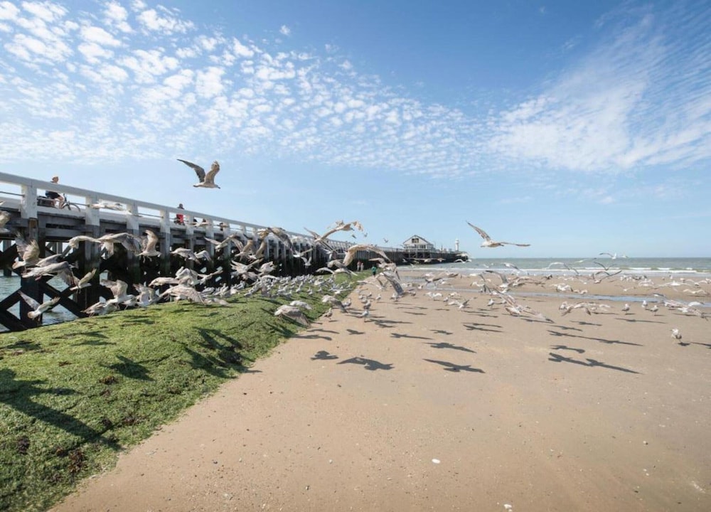 Apartment in Blankenberge Near the Beach