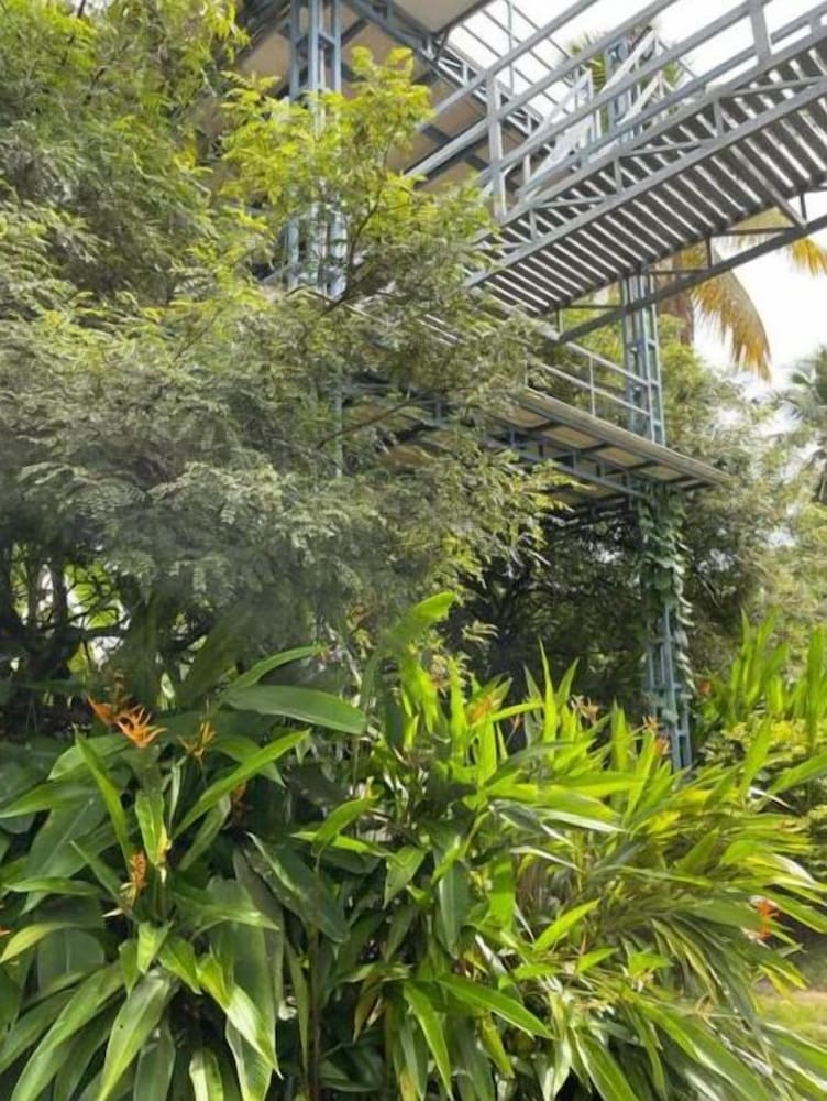 Rain Homestay
