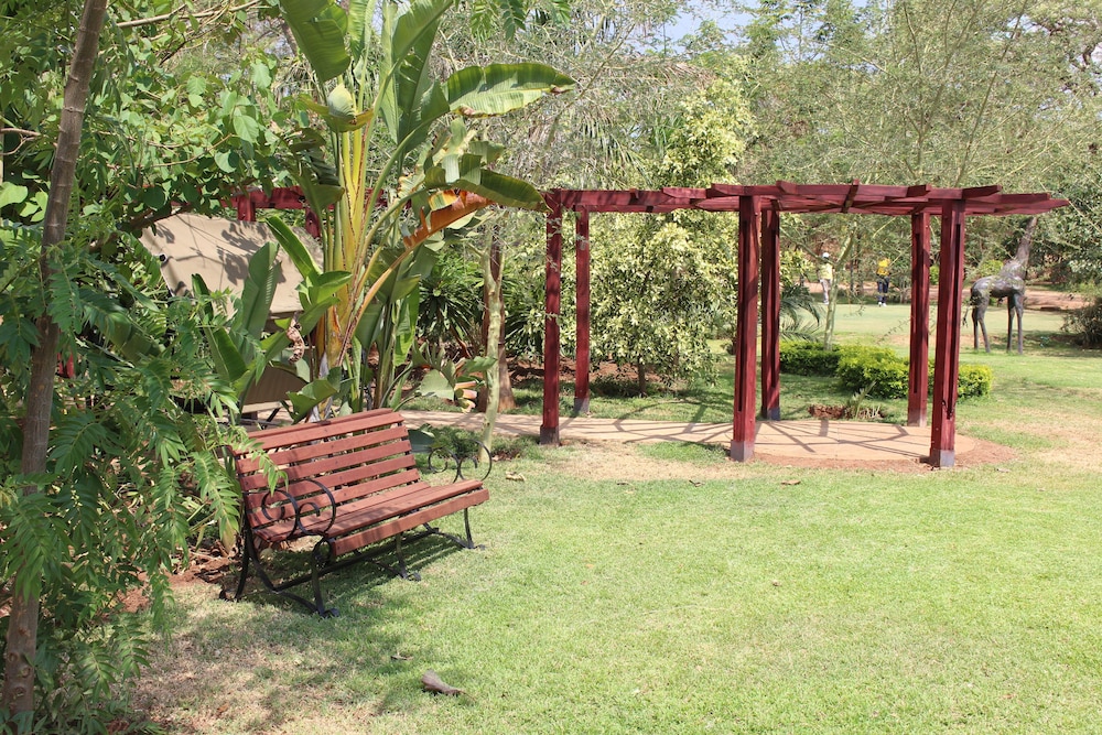 Photo 46
