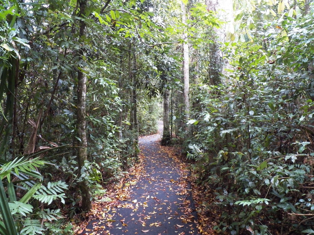 Lake Eacham Tourist Park & Self Contained Cabins