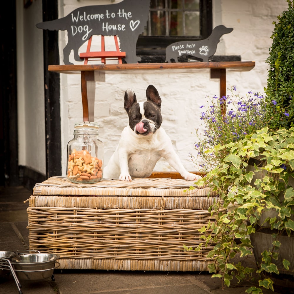 The Greyhound Inn & Hotel
