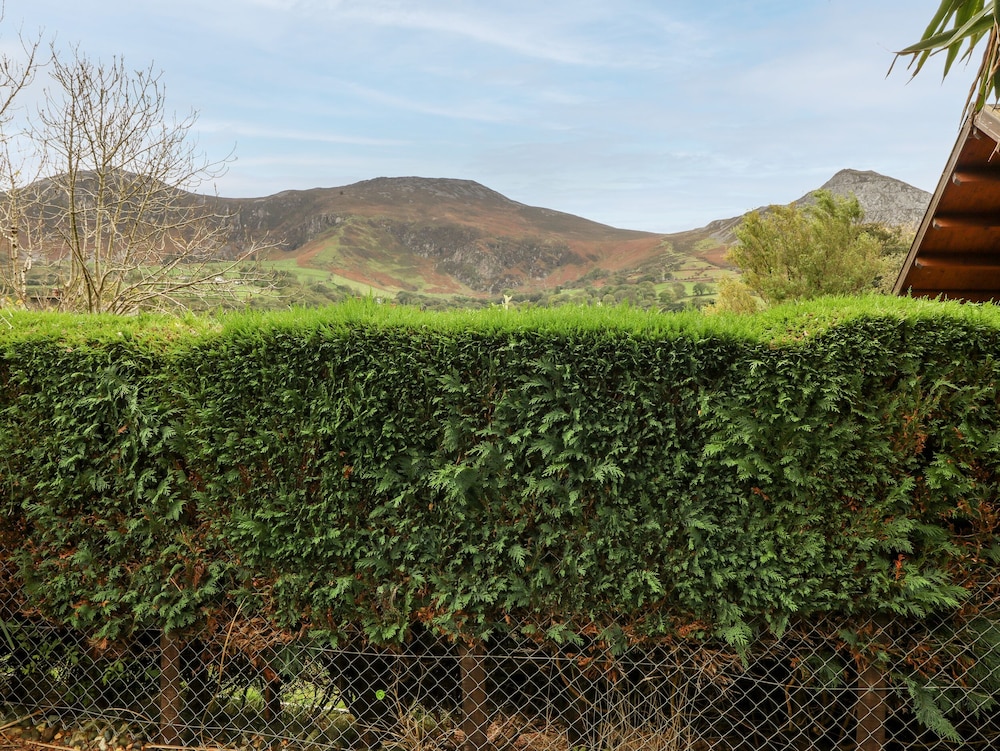 Bythynnod Newydd