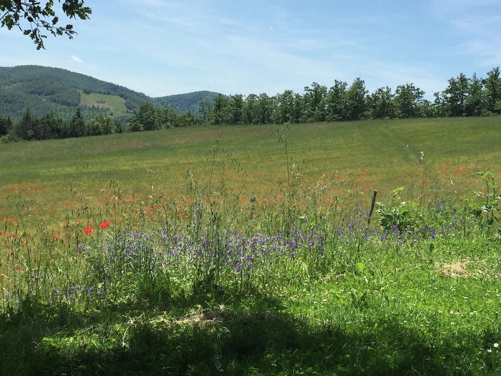 Farmhouse in Apecchio With Swimming Pool, Terrace, Garden