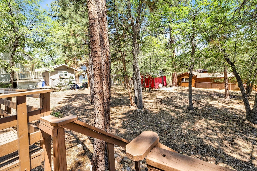 Bear Forest Cabin #2553