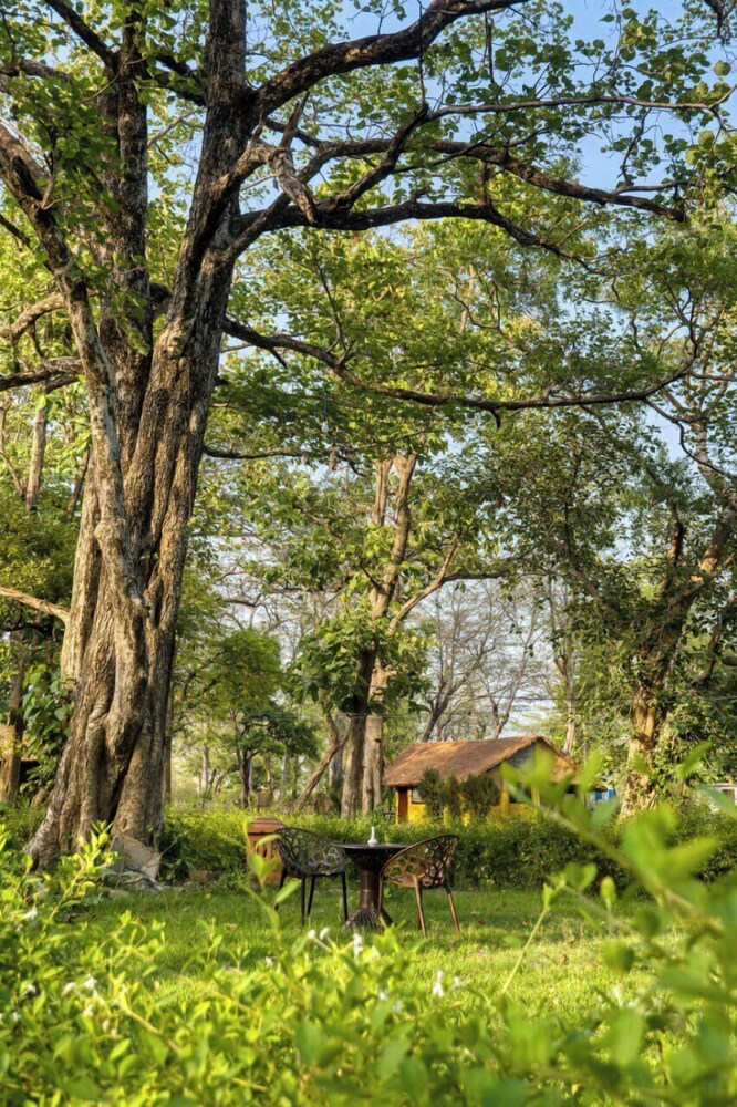Bijrani Jungle Cottages by CYJ