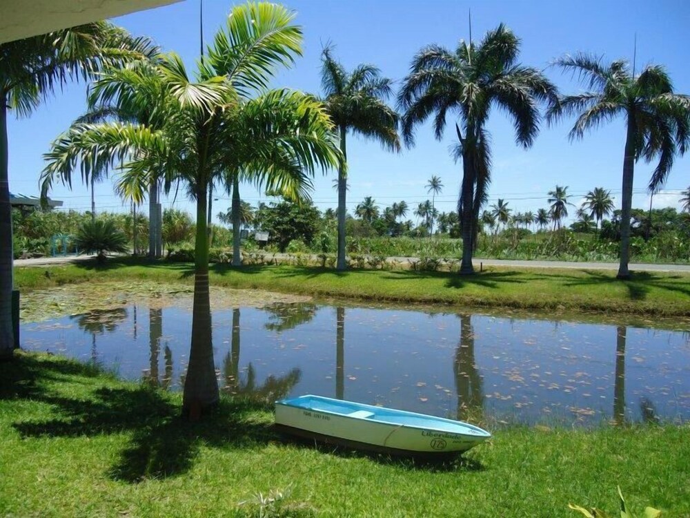 Photo 19