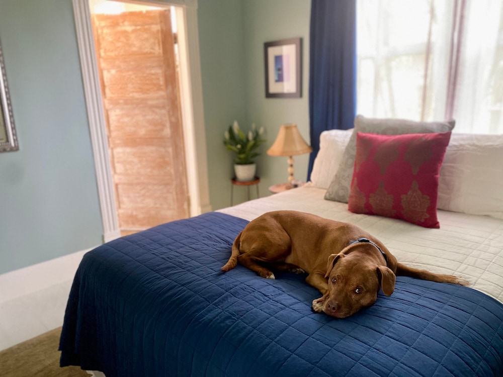 Downstairs Thevictorian Downtown and Dog-friendly