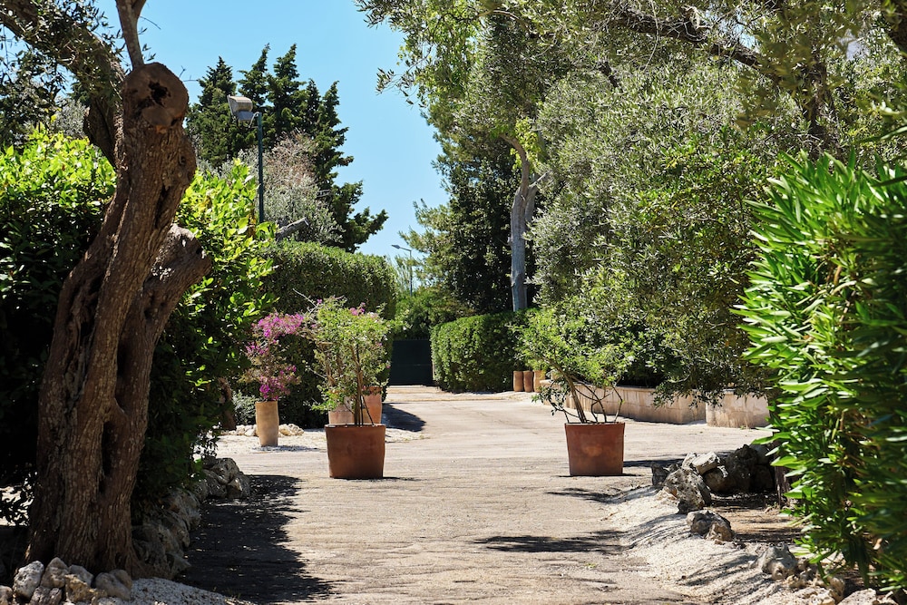 Tenuta Belvedere