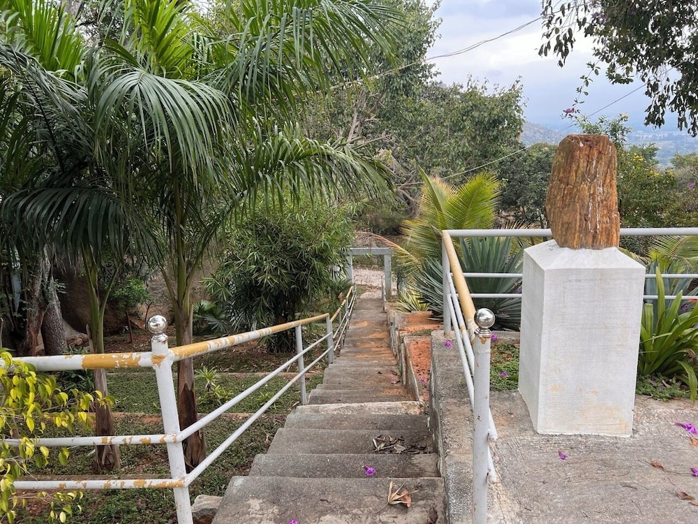 Photo 26