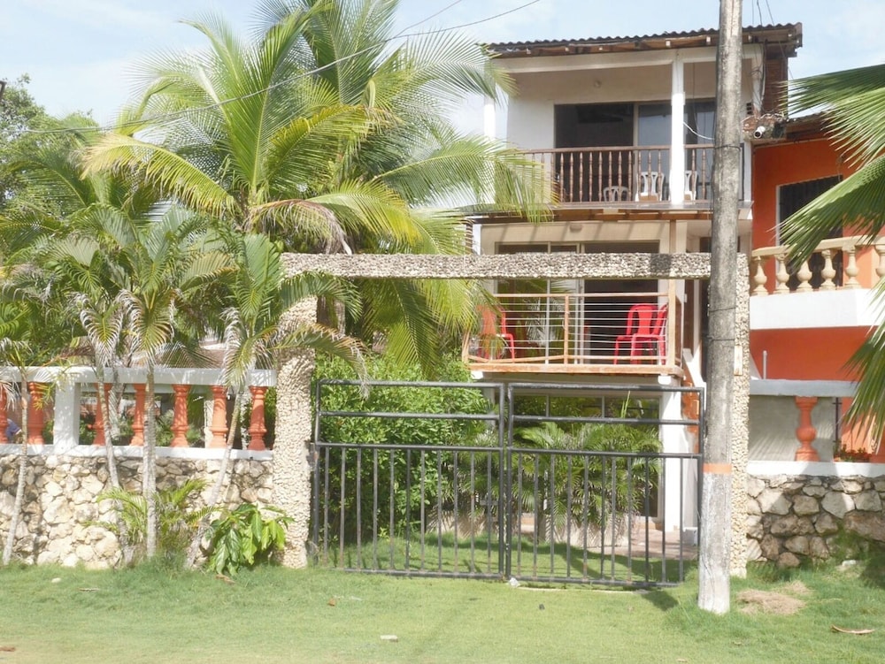 Las acacias Tolu