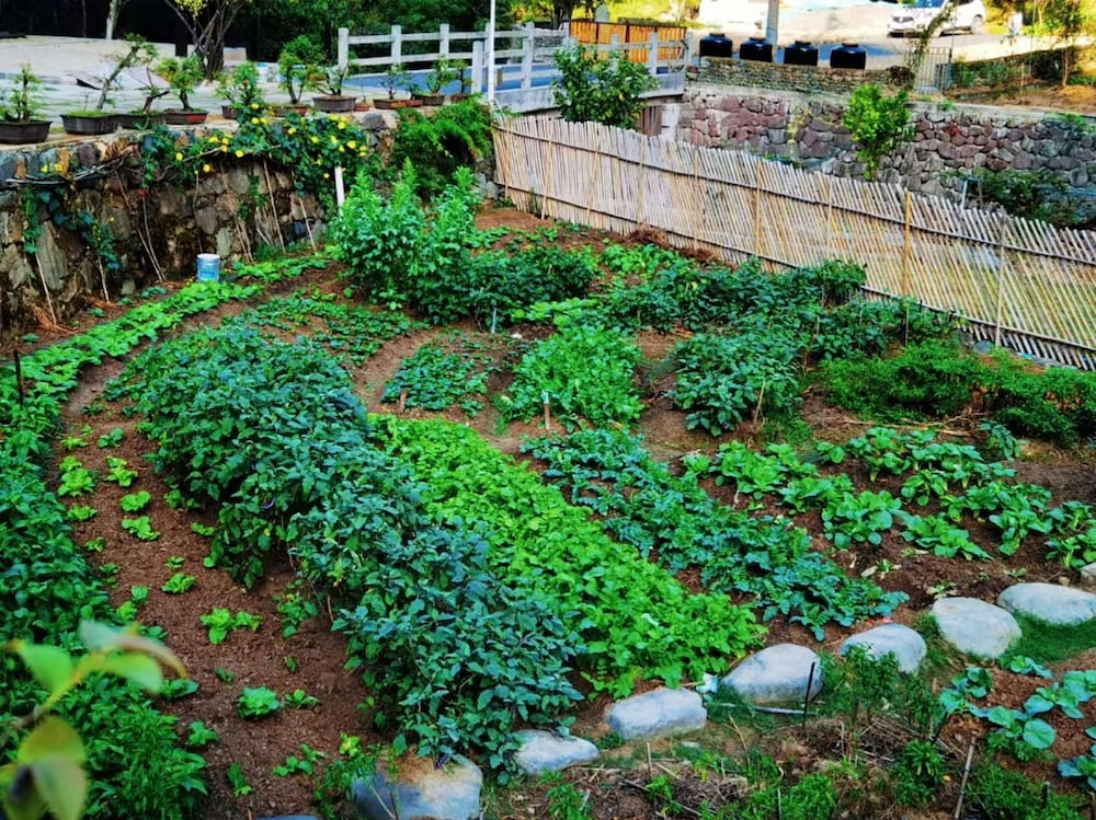 XiangLu YiMo Valley Retreat Guesthouse