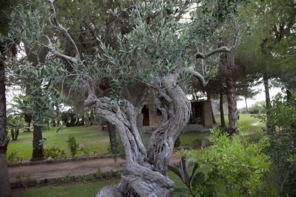 Tenuta Terenzano